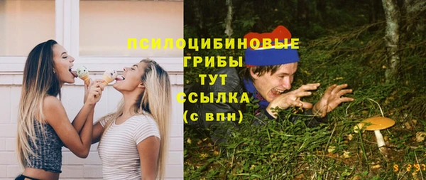 спайс Алексин