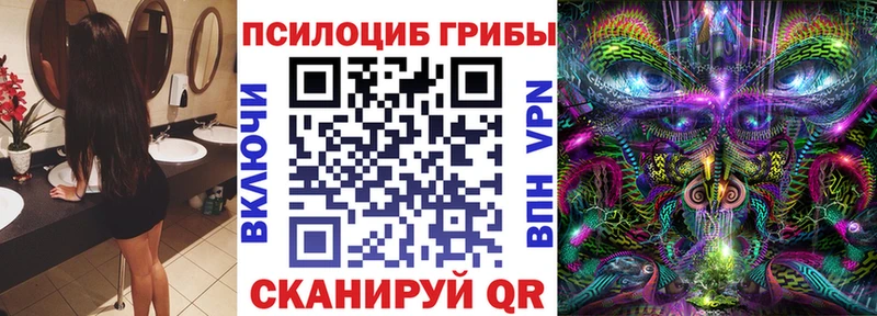 Псилоцибиновые грибы Psilocybine cubensis  Палласовка 